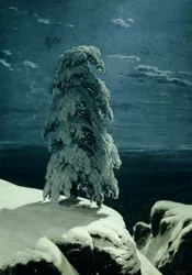In the Wild North, 1891